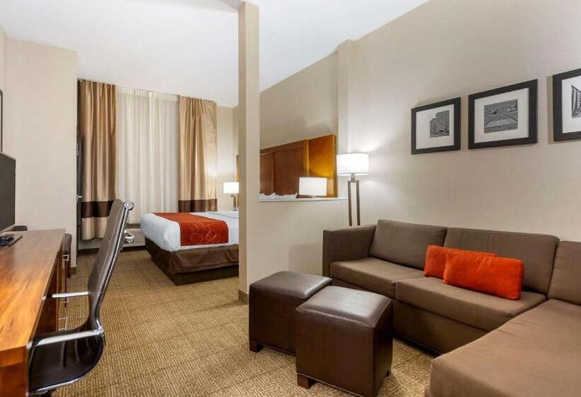 جناح سرير كينج, Comfort Suites