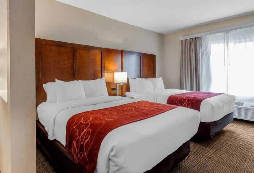 Люкс Адаптированный для Инвалидов, Comfort Suites