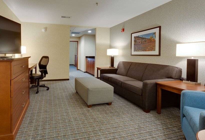 جناح لذوى الاحتياجات الخاصة, Drury Plaza Hotel St. Louis St. Charles