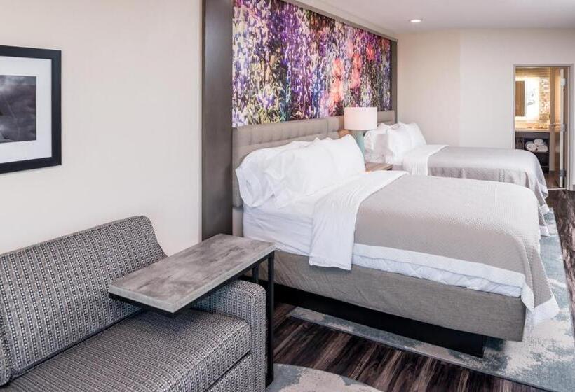 标准间, Indigo Frisco, An Ihg