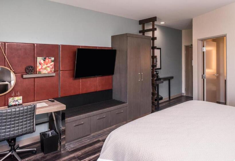 带大床的套房, Indigo Frisco, An Ihg