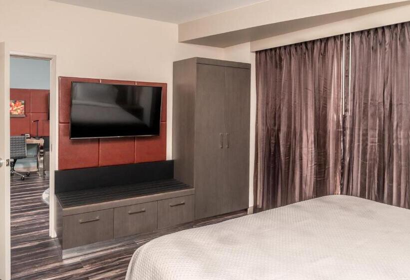 带大床的套房, Indigo Frisco, An Ihg