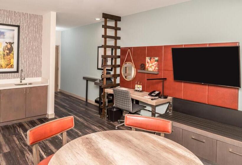 带大床的套房, Indigo Frisco, An Ihg