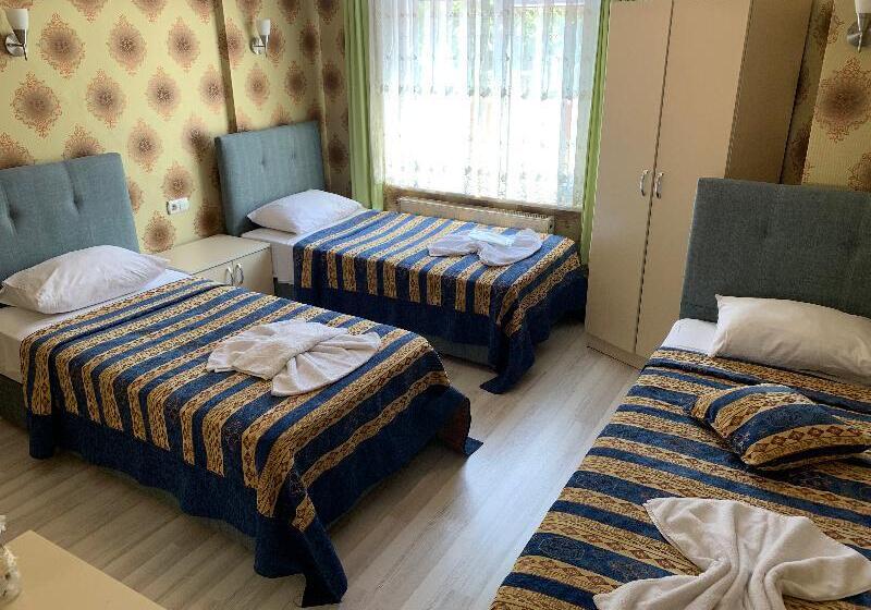 适合残疾人使用的标准间, Indigo Frisco, An Ihg