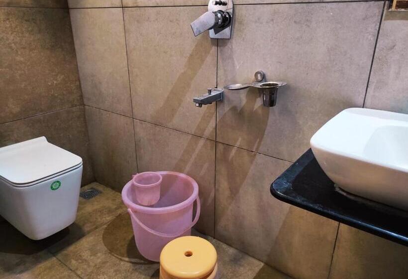 חדר סטנדרט, Manasi Inn