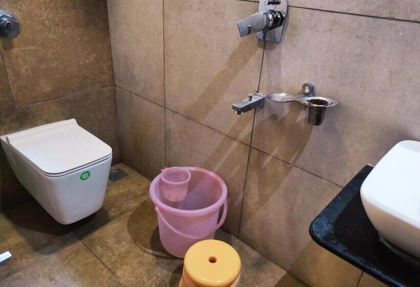 Номер Стандарт, Manasi Inn