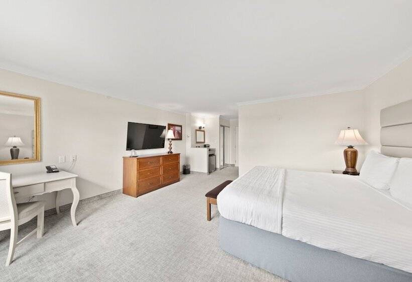 اتاق سوپریور, Rehoboth