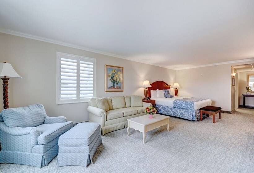 استودیو استاندارد با تخت کینگ, Rehoboth