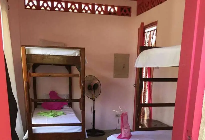 Cama em Quarto Partilhado, Elternative Hostel