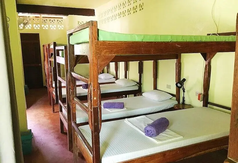 Cama em Quarto Partilhado, Elternative Hostel