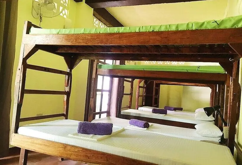 Cama em Quarto Partilhado, Elternative Hostel