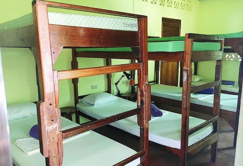 공동 객실, Elternative Hostel