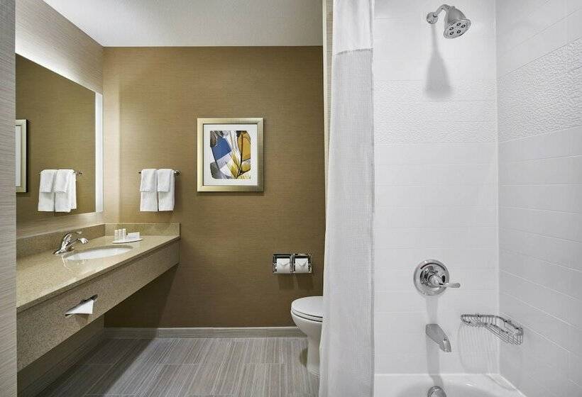 套房, Fairfield Inn & Suites By Marriott Alexandria,virginia