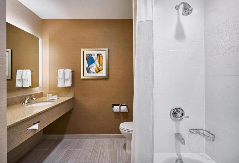 标准单人间, Fairfield Inn & Suites By Marriott Alexandria,virginia