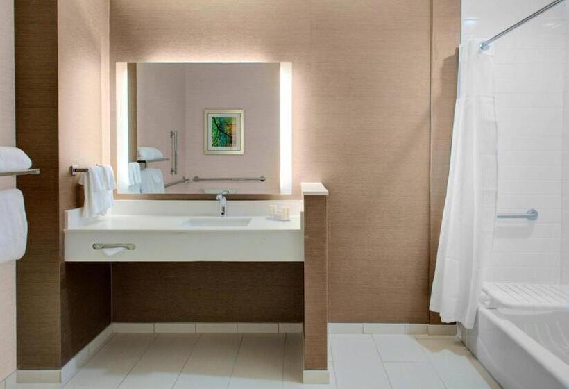 غرفة قياسية سرير كينج, Fairfield Inn & Suites By Marriott Bakersfield North/airport