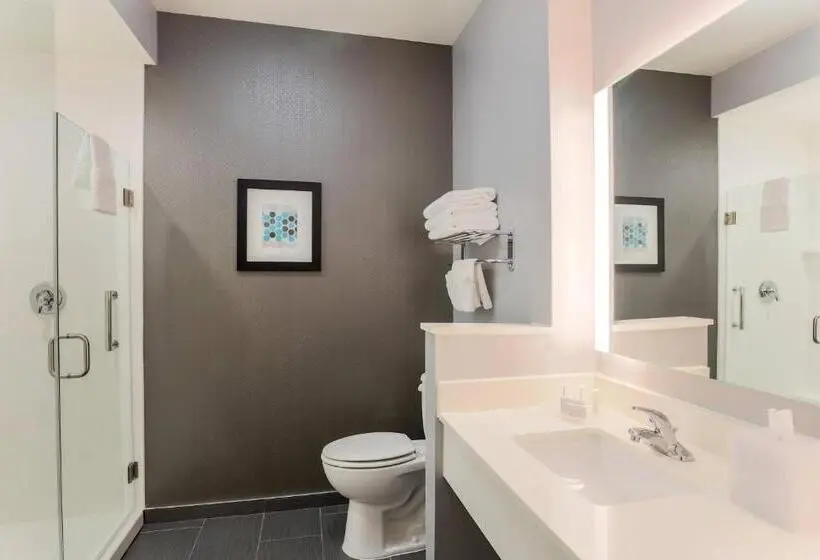 اتاق استاندارد با تخت بزرگ, Fairfield Inn & Suites By Marriott Wichita Falls Northwest