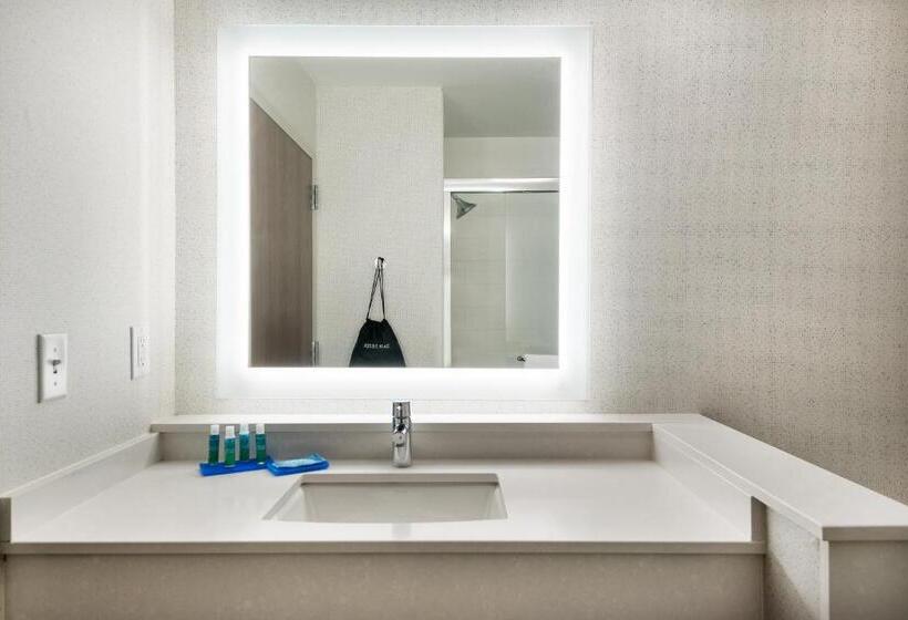 适合残疾人士使用的套间, Holiday Inn Express Queensbury Lake George Area, An Ihg