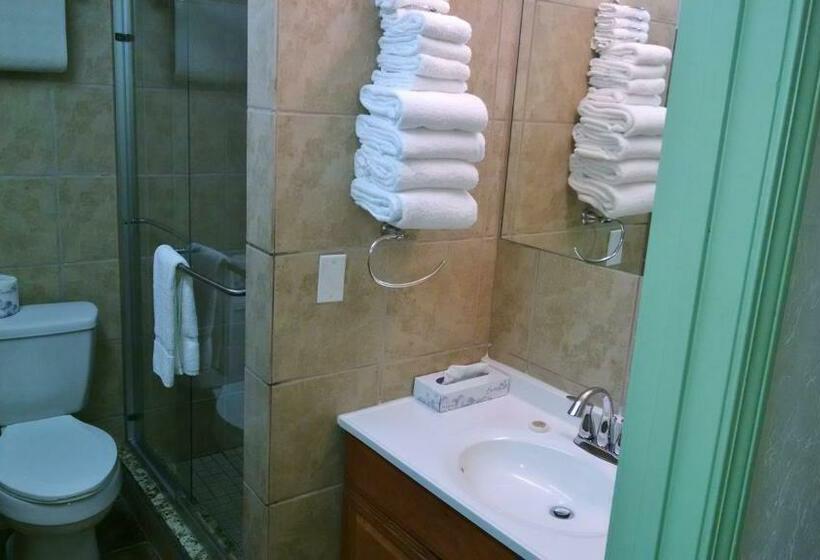 غرفة قياسية مطلة على الجبل, Top Of The Beech Inn