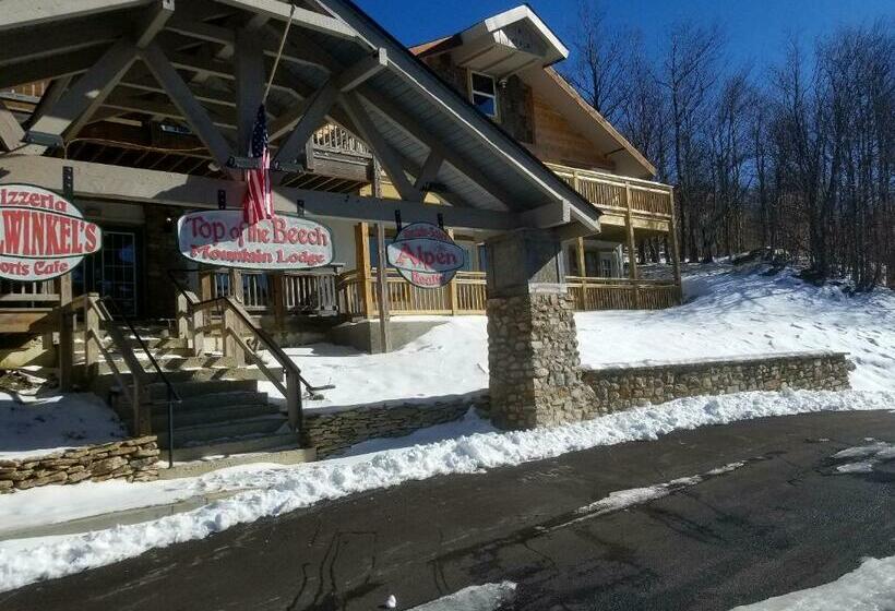 غرفة قياسية مطلة على الجبل, Top Of The Beech Inn