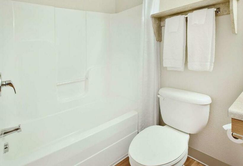 غرفة قياسية, Woodspring Suites Columbus Southeast