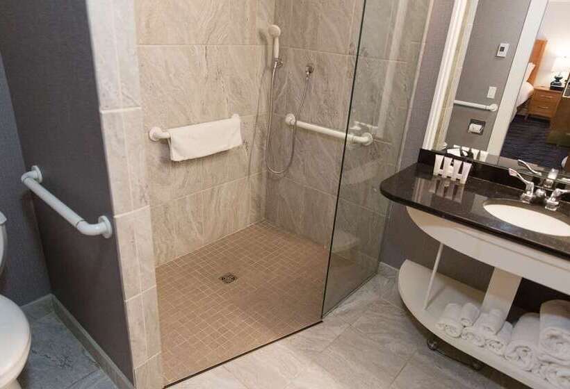 Номер Deluxe Кровать Кинг, Joinery Hotel Pittsburgh, Curio Collection By Hilton