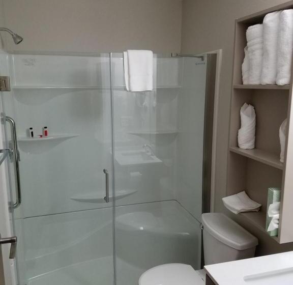 스탠다드 룸, Microtel Inn & Suites By Wyndham Niagara Falls