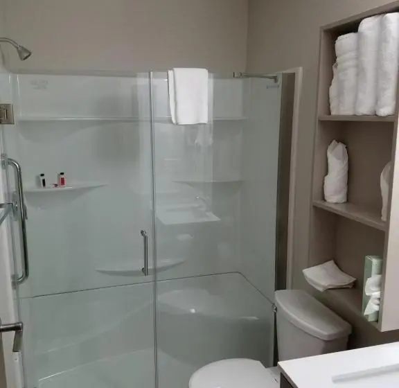 Standard-huone, Microtel Inn & Suites By Wyndham Niagara Falls