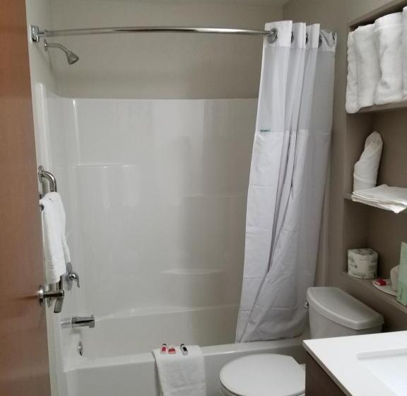 스탠다드 룸, Microtel Inn & Suites By Wyndham Niagara Falls