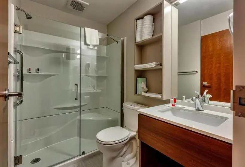 Standard-studio, Microtel Inn & Suites By Wyndham Niagara Falls