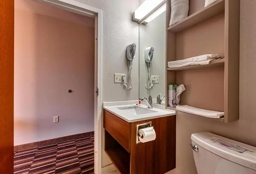 Standard-studio, Microtel Inn & Suites By Wyndham Niagara Falls