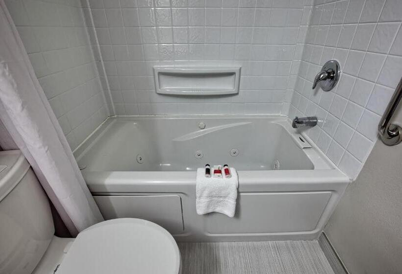 비즈니스룸, Microtel Inn & Suites By Wyndham Niagara Falls