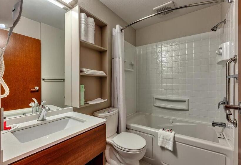 비즈니스룸, Microtel Inn & Suites By Wyndham Niagara Falls