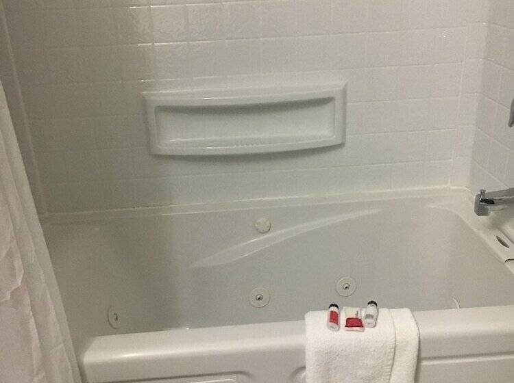 비즈니스룸, Microtel Inn & Suites By Wyndham Niagara Falls