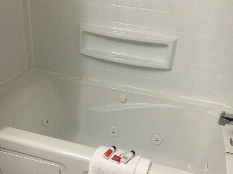 비즈니스룸, Microtel Inn & Suites By Wyndham Niagara Falls