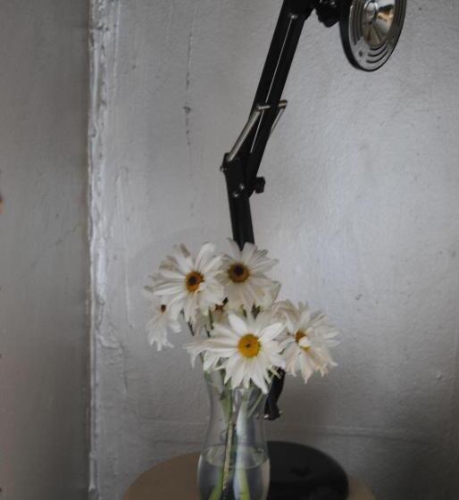 اتاق استاندارد, Off Broadway B & B