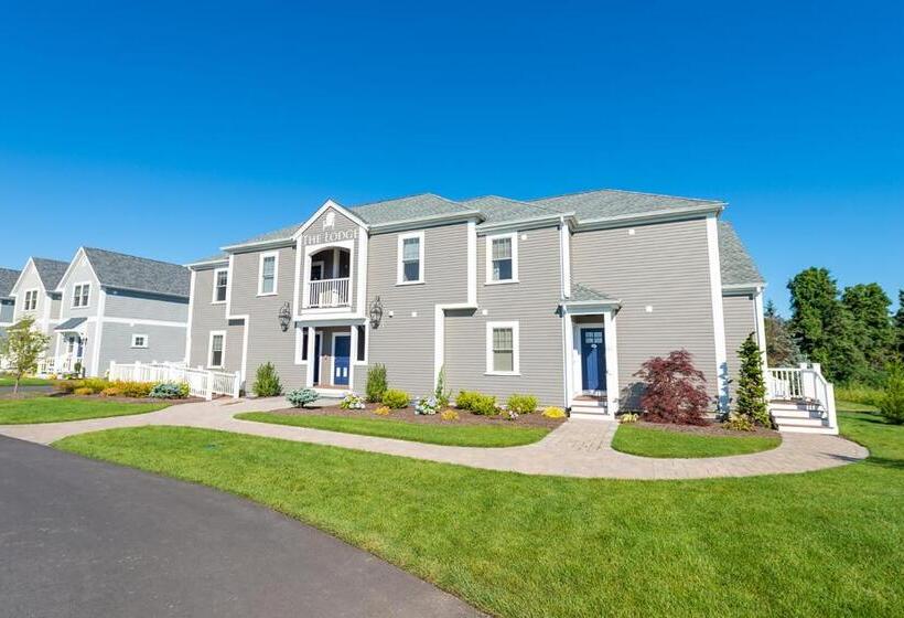 デラックススタジオ, The East Island Reserve