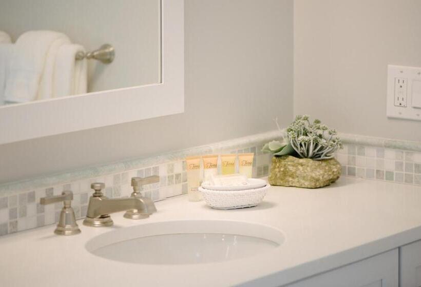 デラックススタジオ, The East Island Reserve