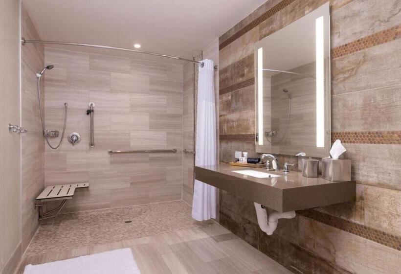 障害者適応デラックスルーム, The Stella Hotel, Autograph Collection