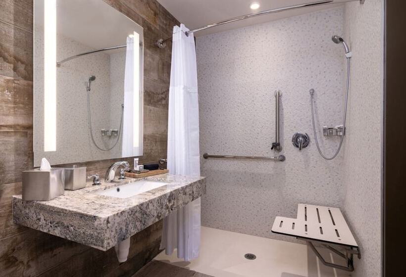 障害者適応デラックスルーム, The Stella Hotel, Autograph Collection