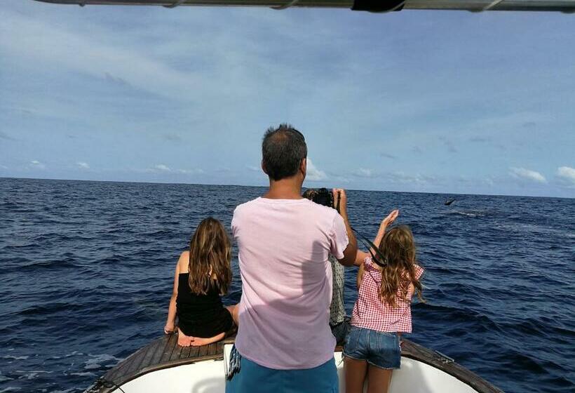 بانگلوی سوپریور, Beach Villa Ukulhas