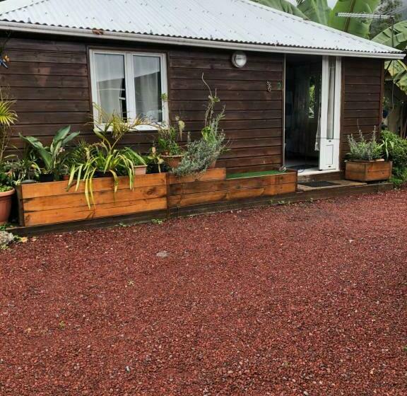 اتاق استاندارد, Les Aubepines