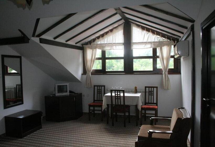 غرفة قياسية مطلة على الجبل, Family Hotel Bile