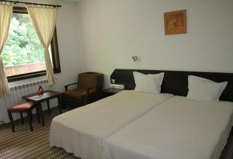 غرفة قياسية مطلة على الجبل, Family Hotel Bile