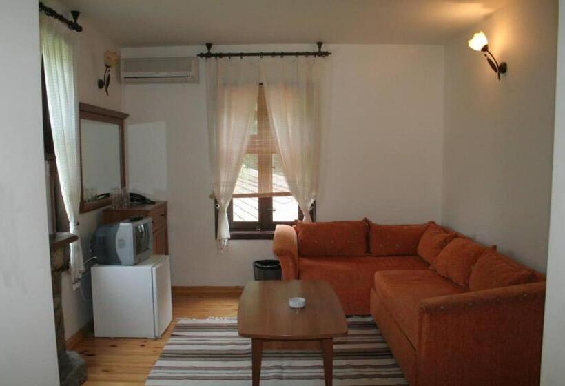 شقة غرفة واحدة, Family Hotel Bile