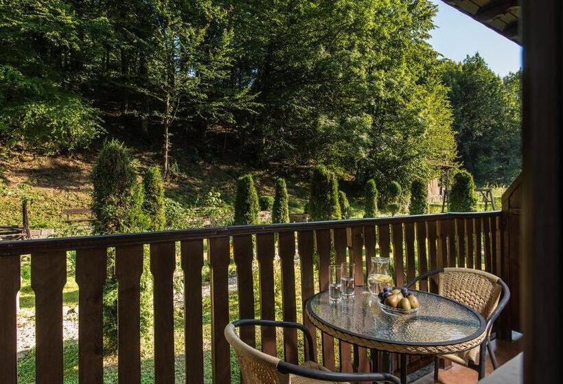 غرفة قياسية مطلة على الجبل, Family Hotel Bile