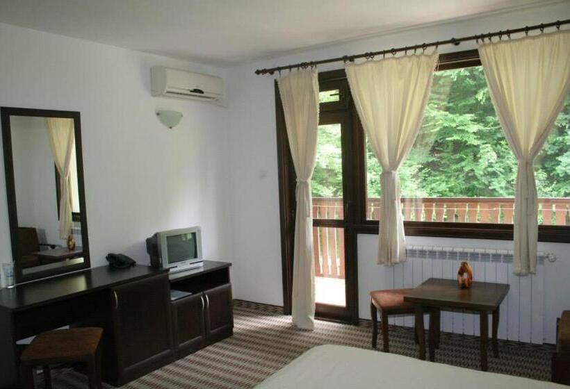 Номер Стандарт Вид на Горы, Family Hotel Bile