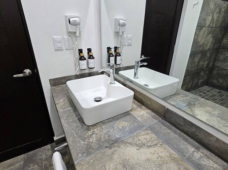 חדר סטנדרט, Ejecutivo Aeropuerto