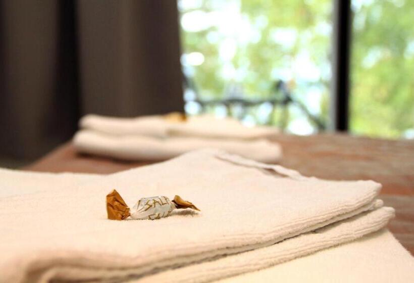 Номер Стандарт Вид на Озеро, Li Salpa