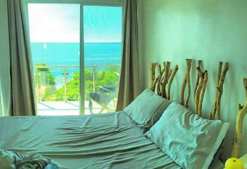 סטודיו דלוקס, Birdland Beach Club