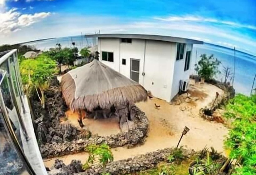 סטודיו דלוקס, Birdland Beach Club